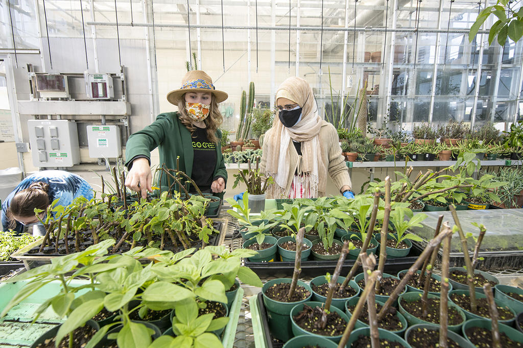 Students in the Greenhouse and Gardens program