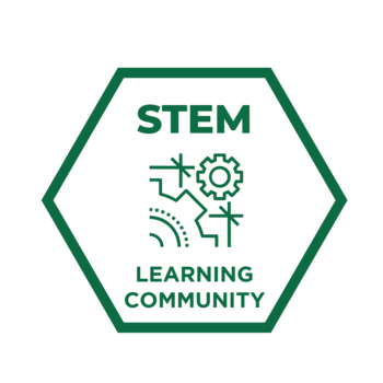 STEM Badge